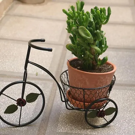 아파트 Quiet Urban With Private Backyard *